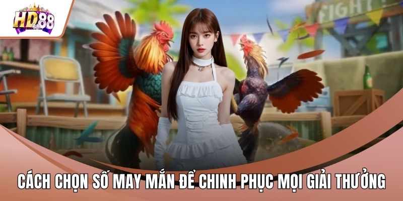 Cách Chọn Số May Mắn Để Chinh Phục Mọi Giải Thưởng