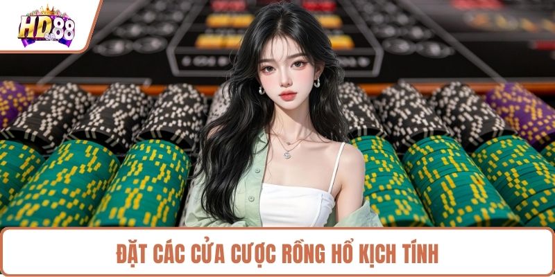 Đặt các cửa cược rồng hổ kịch tính