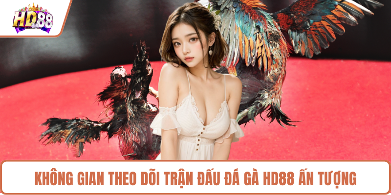 Không gian theo dõi trận đấu đá gà HD88 ấn tượng