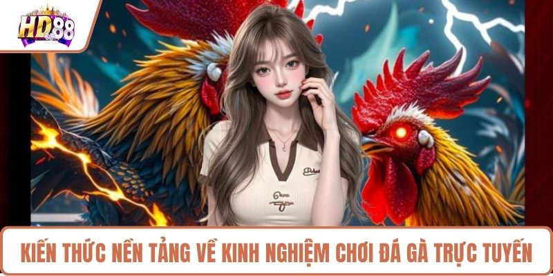 Kiến thức nền tảng về kinh nghiệm chơi đá gà trực tuyến