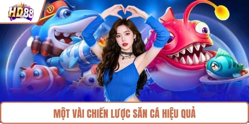 Một vài chiến lược săn cá hiệu quả