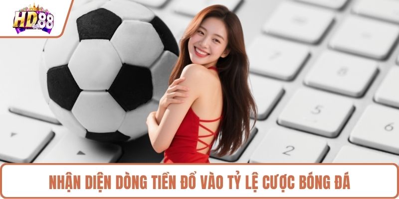 Nhận diện dòng tiền đổ vào tỷ lệ cược bóng đá