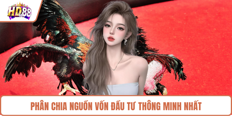 Phân chia nguồn vốn đầu tư thông minh nhất