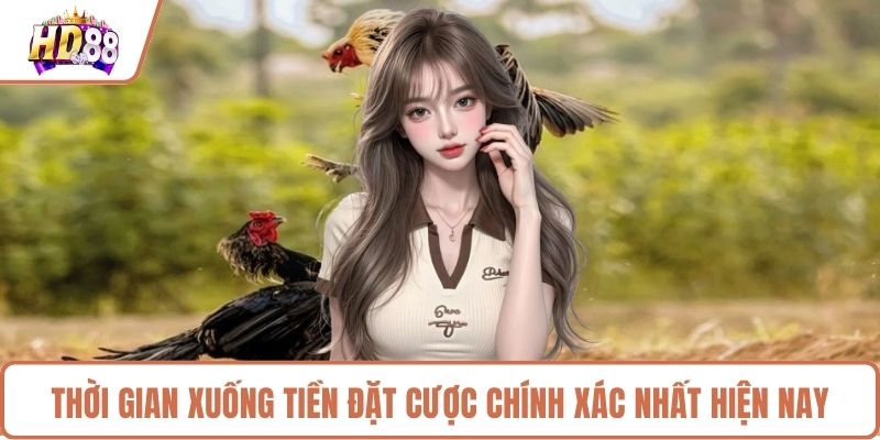 Thời gian xuống tiền đặt cược chính xác nhất hiện nay