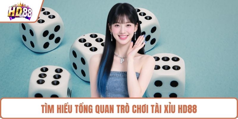 Tìm hiểu tổng quan trò chơi tài xỉu HD88 